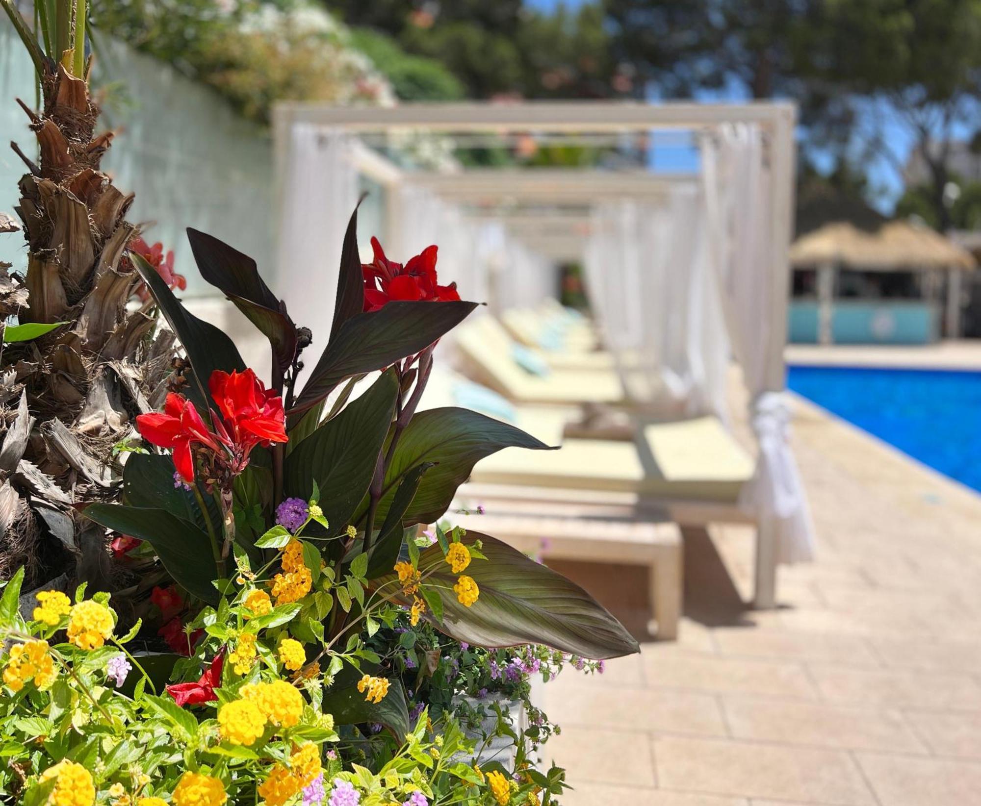 Inn Mallorca Aparthotel Магалуф Экстерьер фото